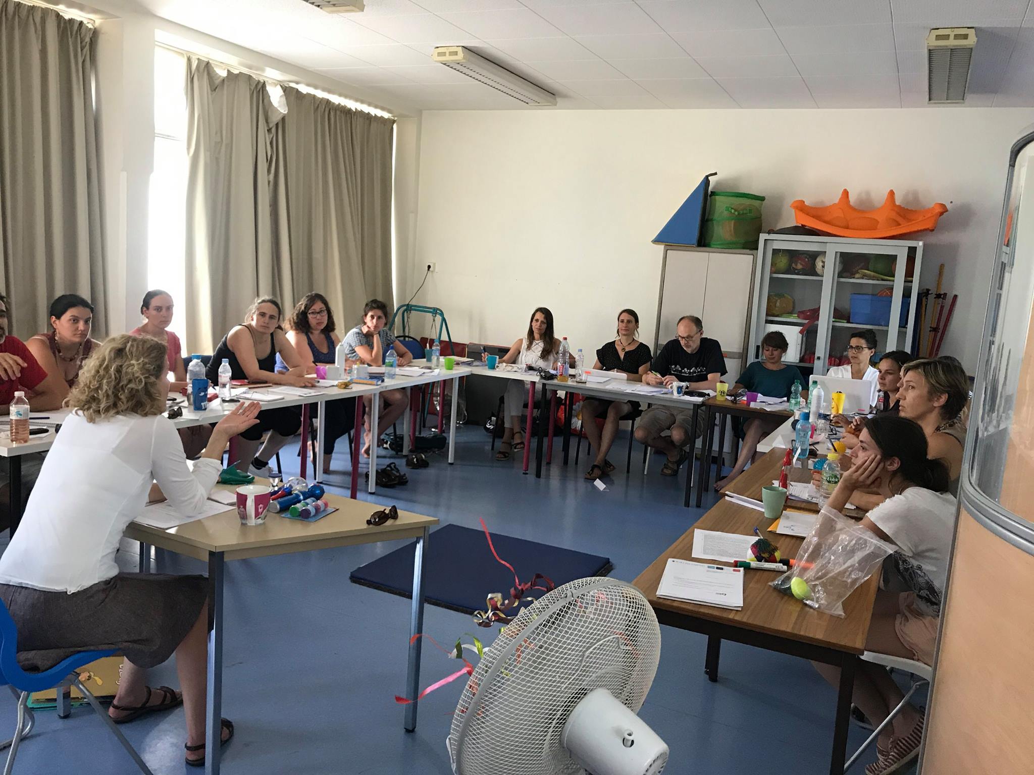 Formation de l'équipe éducative et des familles à l'intégration sensorielle par Pascale Brochu, juin 17